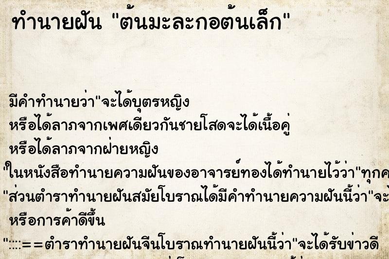 ทำนายฝัน ต้นมะละกอต้นเล็ก ทำนายฝัน ต้นมะละกอต้นเล็ก