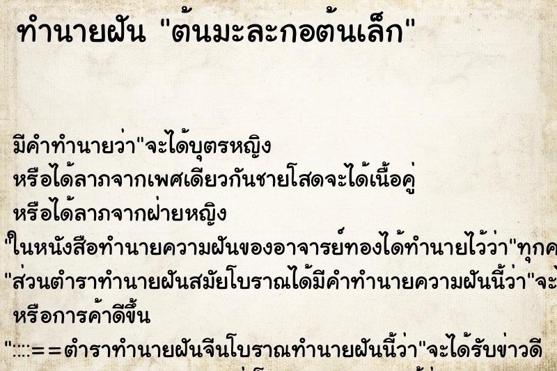 ทำนายฝัน ต้นมะละกอต้นเล็ก ตำราโบราณ แม่นที่สุดในโลก