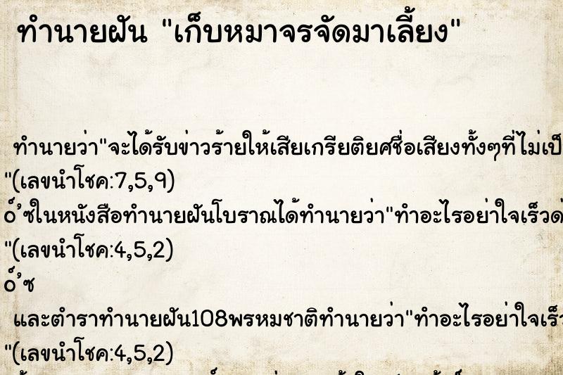 ทำนายฝัน เก็บหมาจรจัดมาเลี้ยง ทำนายฝัน เก็บหมาจรจัดมาเลี้ยง