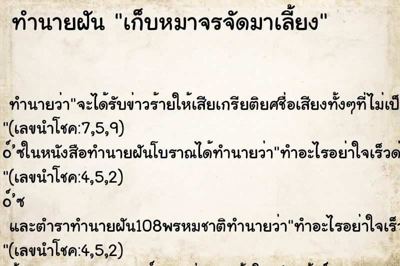 ทำนายฝัน เก็บหมาจรจัดมาเลี้ยง ตำราโบราณ แม่นที่สุดในโลก