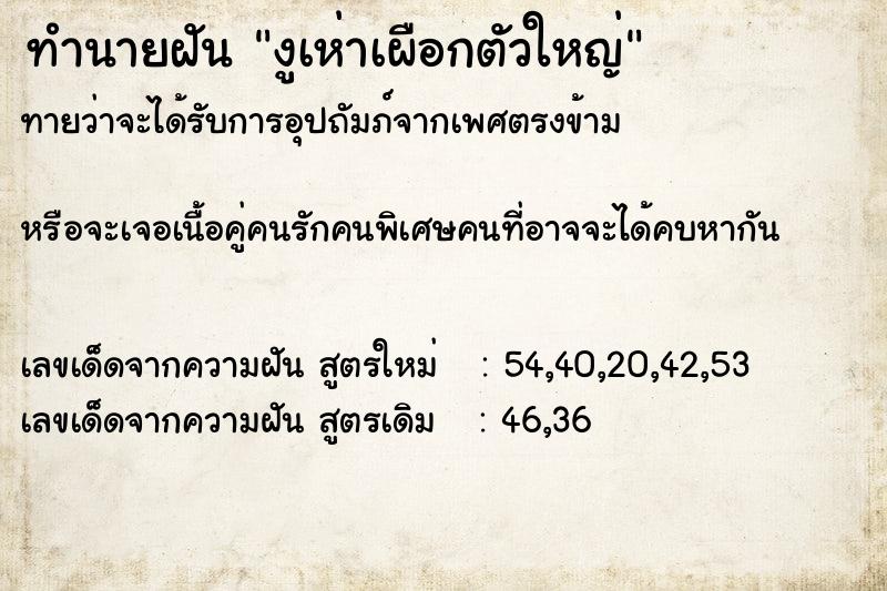 ทำนายฝันงูเห่าเผือกตัวใหญ่ ทำนายฝันทำนายฝันงูเห่าเผือกตัวใหญ่