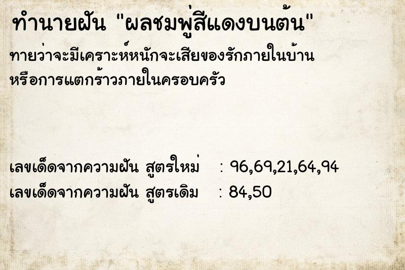 ทำนายฝันผลชมพู่สีแดงบนต้น ทำนายฝันทำนายฝันผลชมพู่สีแดงบนต้น