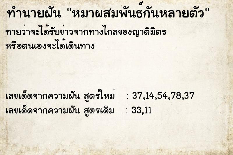 ทำนายฝันหมาผสมพันธ์กันหลายตัว ทำนายฝันทำนายฝันหมาผสมพันธ์กันหลายตัว