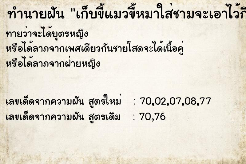 ทำนายฝันเก็บขี้แมวขี้หมาใส่ชามจะเอาไว้กิน ทำนายฝันทำนายฝันเก็บขี้แมวขี้หมาใส่ชามจะเอาไว้กิน