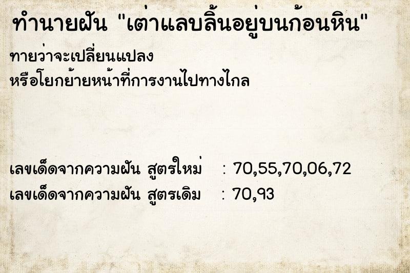 ทำนายฝันเต่าแลบลิ้นอยู่บนก้อนหิน ทำนายฝันทำนายฝันเต่าแลบลิ้นอยู่บนก้อนหิน
