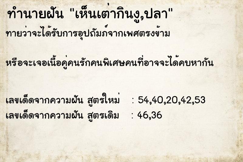 ทำนายฝันเห็นเต่ากินงู,ปลา ทำนายฝันทำนายฝันเห็นเต่ากินงู,ปลา
