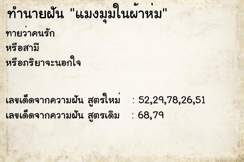 ทำนายฝันแมงมุมในผ้าห่ม ทำนายฝันทำนายฝันแมงมุมในผ้าห่ม