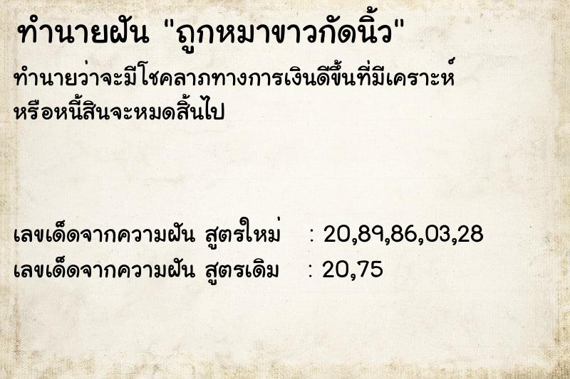 ทำนายฝันถูกหมาขาวกัดนิ้ว ทำนายฝันทำนายฝันถูกหมาขาวกัดนิ้ว