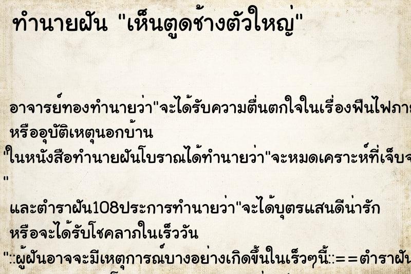 ทำนายฝันทำนายฝันเห็นตูดช้างตัวใหญ่