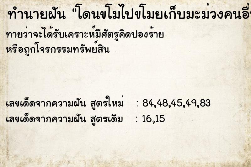ทำนายฝันทำนายฝันโดนขโมไปขโมยเก็บมะม่วงคนอื่น