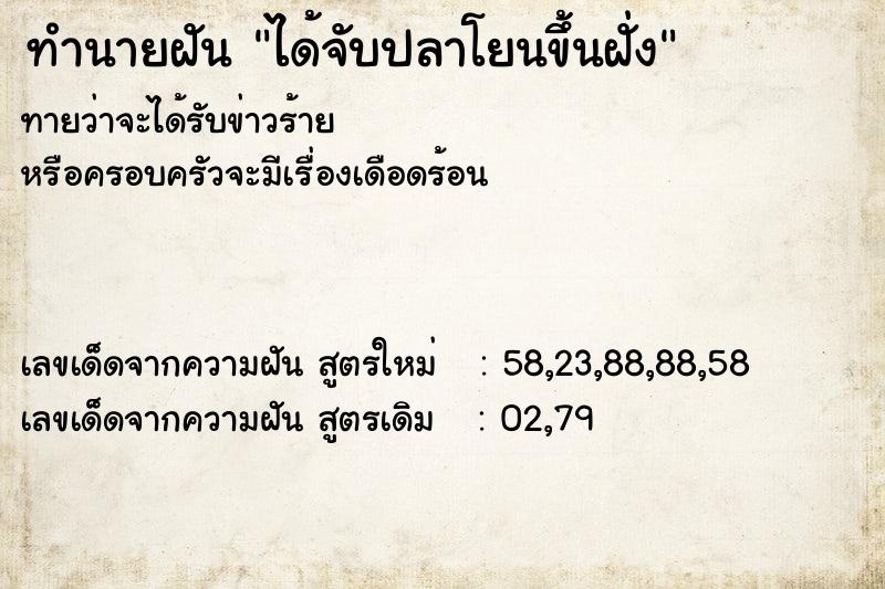 ทำนายฝันทำนายฝันได้จับปลาโยนขึ้นฝั่ง