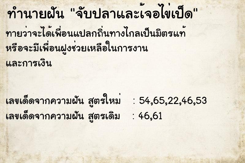 ทำนายฝันจับปลาและเ้จอไข่เป็ด ทำนายฝันทำนายฝันจับปลาและเ้จอไข่เป็ด