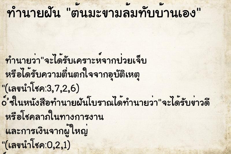 ทำนายฝัน ต้นมะขามล้มทับบ้านเอง ตำราโบราณ แม่นที่สุดในโลก