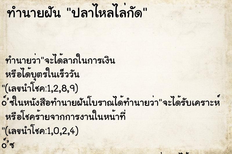 ทำนายฝัน ปลาไหลไล่กัด ทำนายฝัน ปลาไหลไล่กัด
