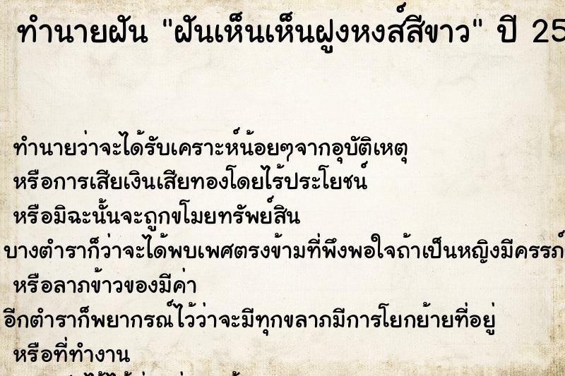 ทำนายฝันฝันเห็นเห็นฝูงหงส์สีขาว ทำนายฝันทำนายฝันฝันเห็นเห็นฝูงหงส์สีขาว