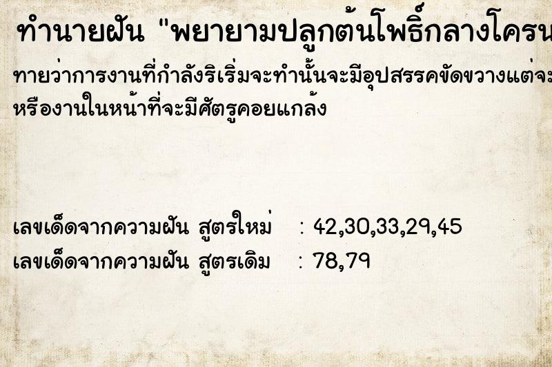 ทำนายฝันทำนายฝันพยาย​ามปลูกต้นโพธิ์​กลางโครน
