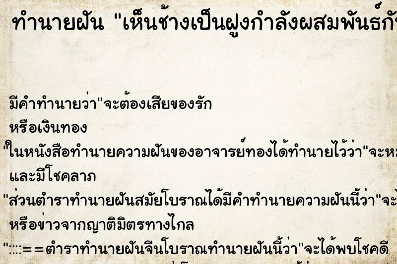 ทำนายฝันเห็นช้างเป็นฝูงกำลังผสมพันธ์กัน ทำนายฝันทำนายฝันเห็นช้างเป็นฝูงกำลังผสมพันธ์กัน