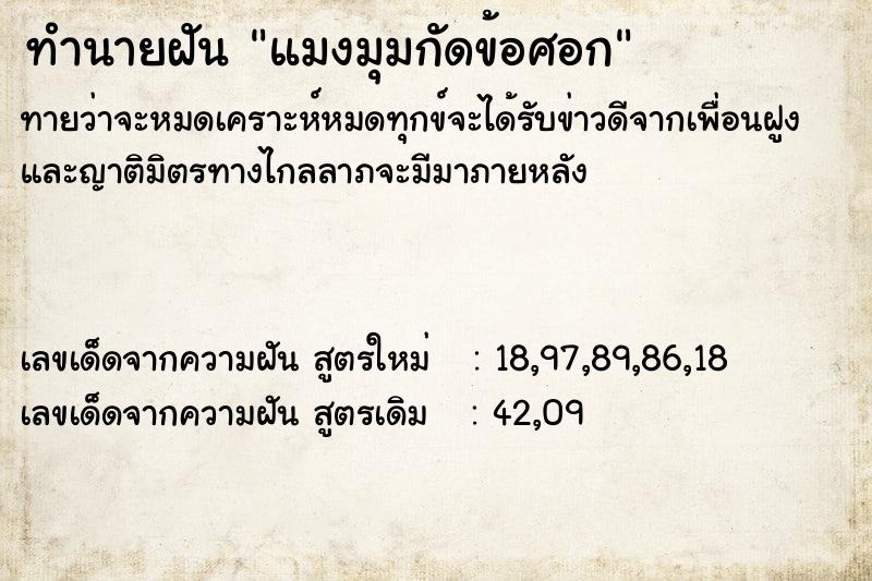 ทำนายฝันแมงมุมกัดข้อศอก ทำนายฝันทำนายฝันแมงมุมกัดข้อศอก