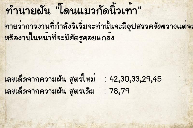 ทำนายฝันทำนายฝัน​โดนแมวกัดนิ้วเท้า​