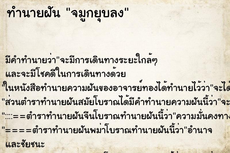 ทำนายฝัน จมูกยุบลง ทำนายฝัน จมูกยุบลง