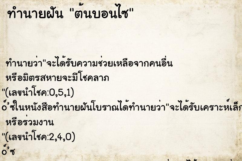 ทำนายฝัน ต้นบอนไซ