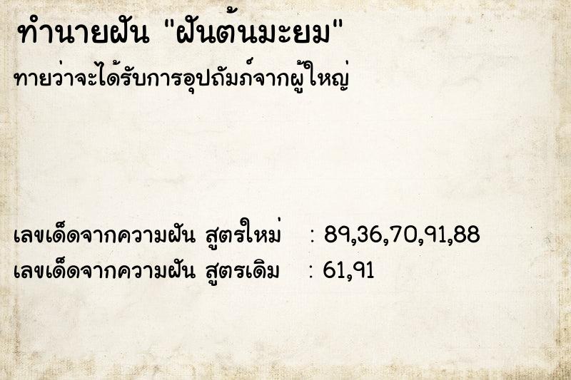 ทำนายฝันฝันต้นมะยม ทำนายฝันทำนายฝันฝันต้นมะยม