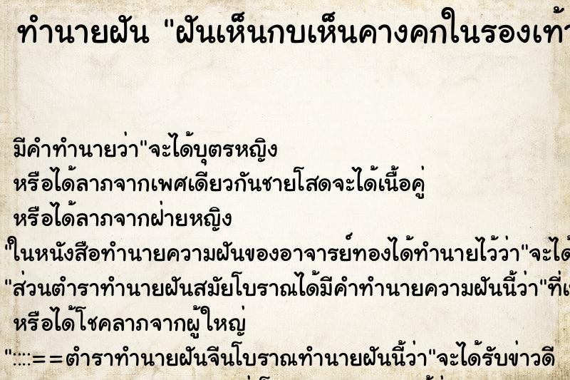 ทำนายฝัน ฝันเห็นกบเห็นคางคกในรองเท้า ทำนายฝัน ฝันเห็นกบเห็นคางคกในรองเท้า