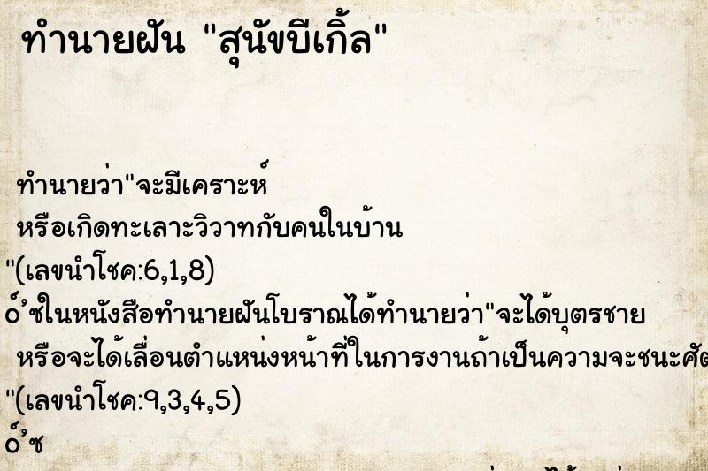 ทำนายฝัน สุนัขบีเกิ้ล ทำนายฝัน สุนัขบีเกิ้ล