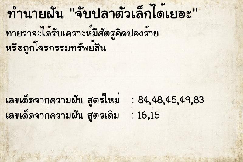 ทำนายฝันทำนายฝันจับปลาตัวเล็กได้เยอะ