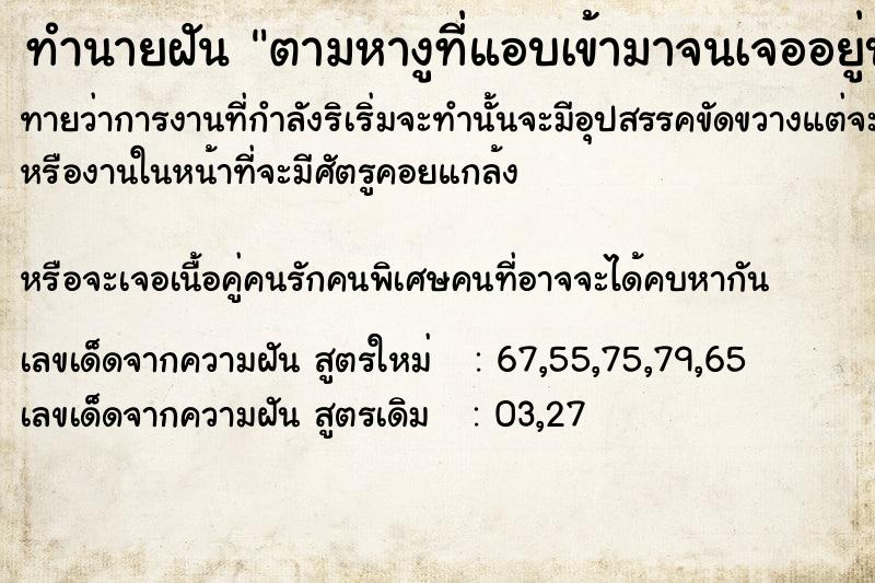 ทำนายฝันตามหางูที่แอบเข้ามาจนเจออยู่บนหลังคา ทำนายฝันทำนายฝันตามหางูที่แอบเข้ามาจนเจออยู่บนหลังคา