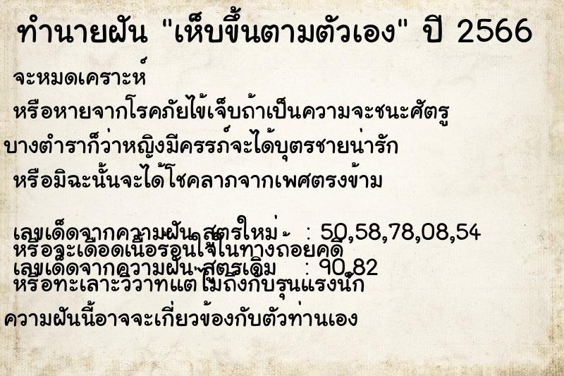 ทำนายฝัน เห็บขึ้นตามตัวเอง ทำนายฝัน เห็บขึ้นตามตัวเอง