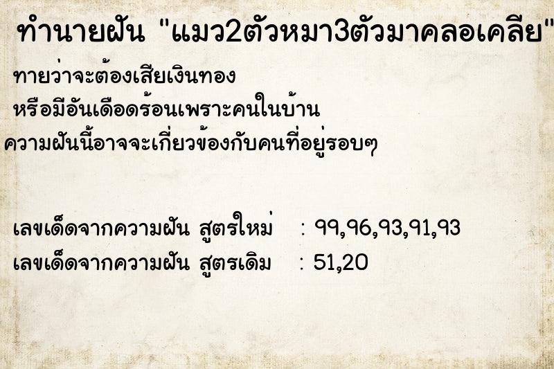 ทำนายฝัน แมว2ตัวหมา3ตัวมาคลอเคลีย ทำนายฝัน แมว2ตัวหมา3ตัวมาคลอเคลีย