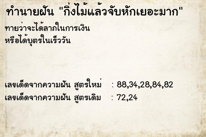 ทำนายฝันกิ่งไม้แล้วจับหักเยอะมาก ทำนายฝันทำนายฝันกิ่งไม้แล้วจับหักเยอะมาก