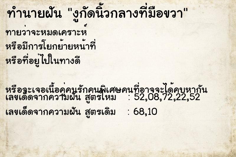 ทำนายฝันงูกัดนิ้วกลางที่มือขวา ทำนายฝันทำนายฝันงูกัดนิ้วกลางที่มือขวา