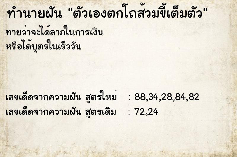 ทำนายฝันทำนายฝันตัวเองตกโถส้วมขี้เต็มตัว