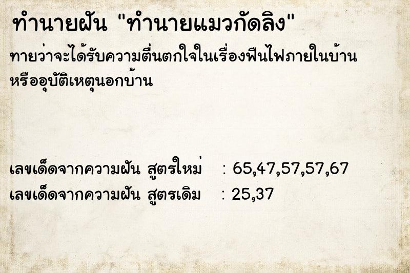 ทำนายฝันทำนายแมวกัดลิง ทำนายฝันทำนายฝันทำนายแมวกัดลิง