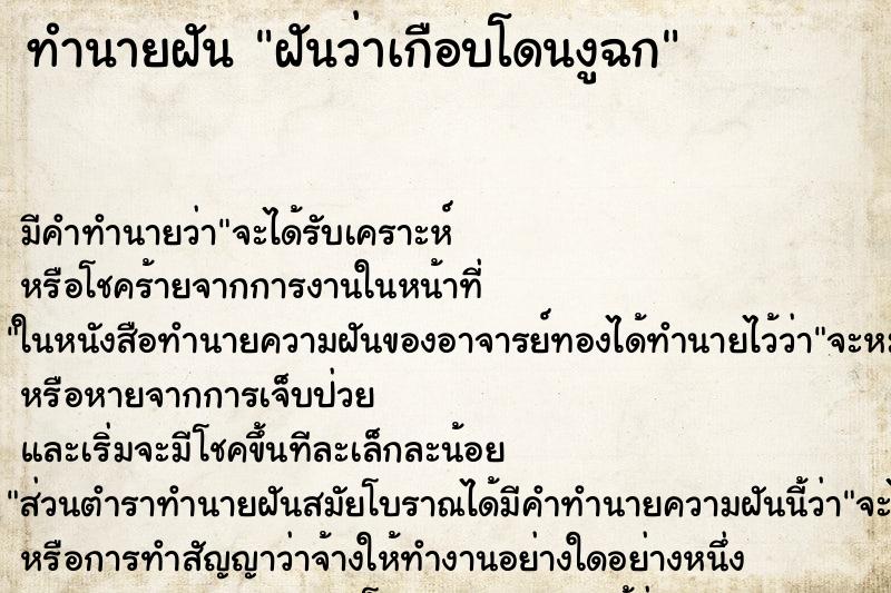 ทำนายฝัน ฝันว่าเกือบโดนงูฉก ตำราโบราณ แม่นที่สุดในโลก