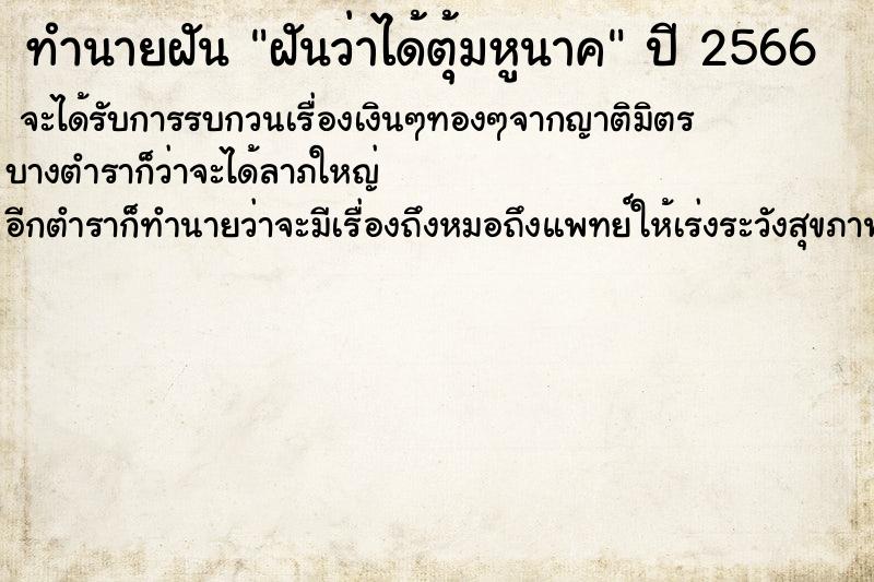 ทำนายฝันฝันว่าได้ตุ้มหูนาค ทำนายฝันทำนายฝันฝันว่าได้ตุ้มหูนาค