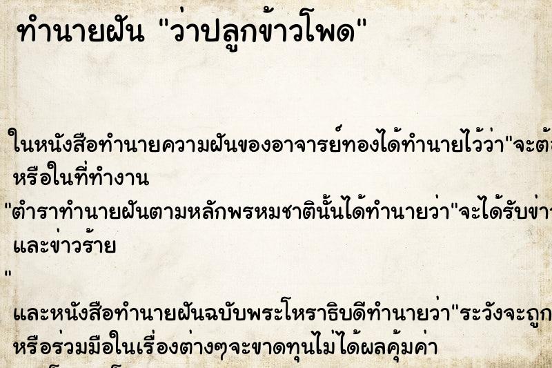 ทำนายฝัน ว่าปลูกข้าวโพด ทำนายฝัน ว่าปลูกข้าวโพด