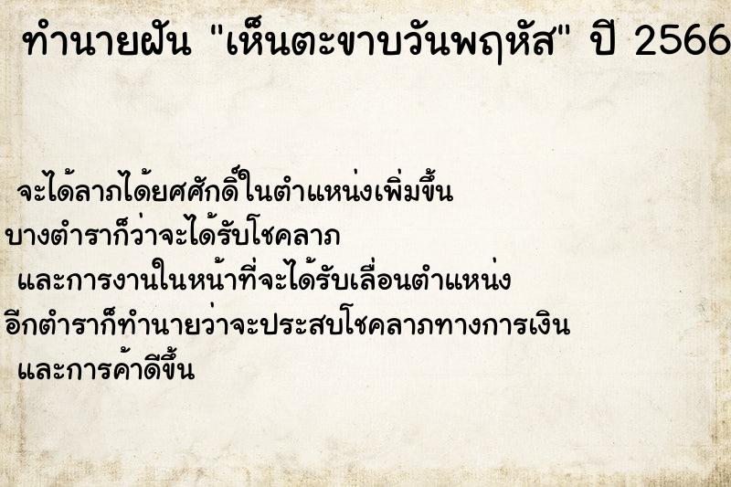 ทำนายฝัน เห็นตะขาบวันพฤหัส ตำราโบราณ แม่นที่สุดในโลก