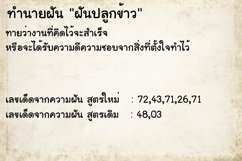 ทำนายฝัน ฝันปลูกข้าว ทำนายฝัน ฝันปลูกข้าว