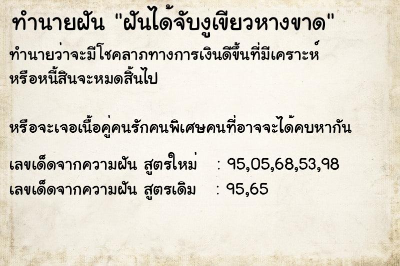ทำนายฝันทำนายฝันฝันได้จับงูเขียวหางขาด