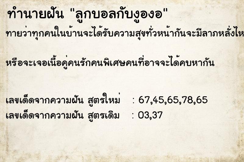 ทำนายฝัน ลูกบอลกับงูองอ ทำนายฝัน ลูกบอลกับงูองอ