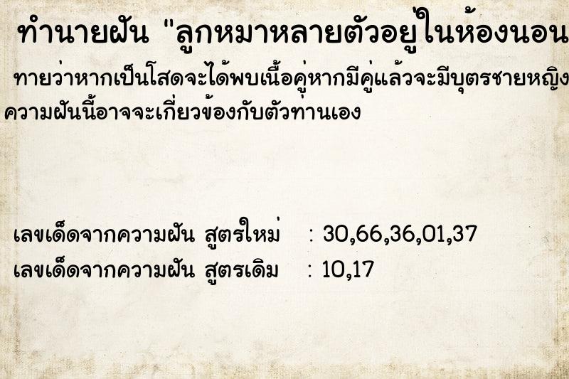 ทำนายฝัน ลูกหมาหลายตัวอยู่ในห้องนอน ทำนายฝัน ลูกหมาหลายตัวอยู่ในห้องนอน