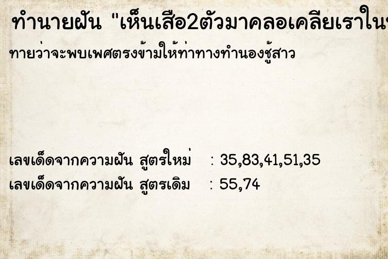 ทำนายฝัน เห็นเสือ2ตัวมาคลอเคลียเราในบ้าน ทำนายฝัน เห็นเสือ2ตัวมาคลอเคลียเราในบ้าน
