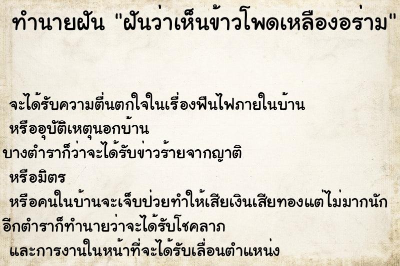 ทำนายฝันทำนายฝันฝันว่าเห็นข้าวโพดเหลืองอร่าม