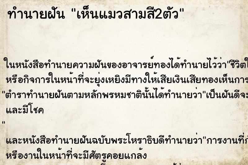 ทำนายฝัน เห็นแมวสามสี2ตัว ทำนายฝัน เห็นแมวสามสี2ตัว