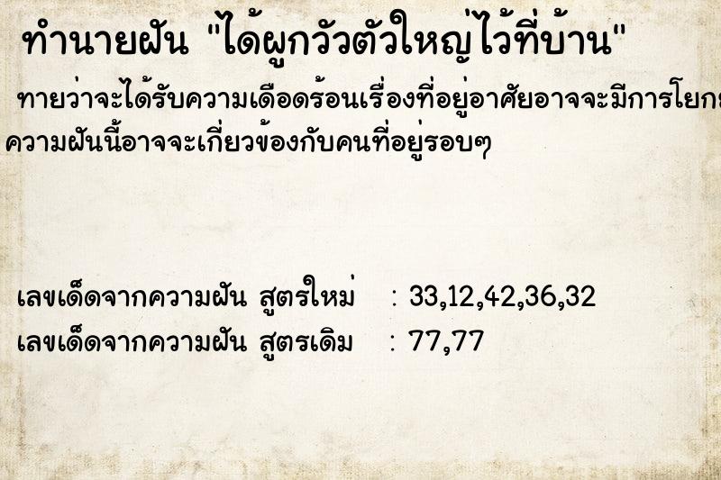 ทำนายฝันทำนายฝันได้ผูกวัวตัวใหญ่ไว้ที่บ้าน