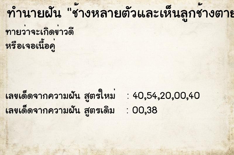 ทำนายฝันทำนายฝันช้างหลายตัวและเห็นลูกช้างตาย