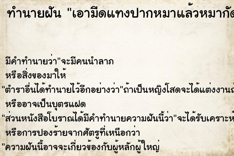 ทำนายฝัน เอามีดแทงปากหมาแล้วหมากัดแต่ไม่เป็นไร